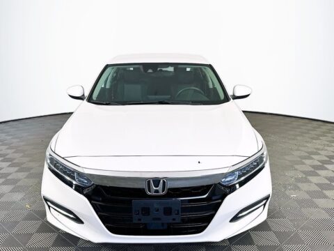 01431d56641190431441d2abcc65d1a0x